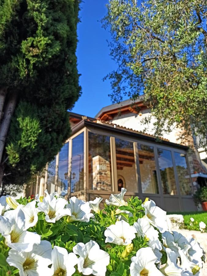 Le Zampolle B & B Cola  Ngoại thất bức ảnh